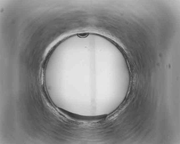 X0000085211510200704091853