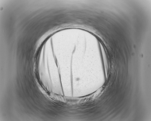 X0000085211511200704091853