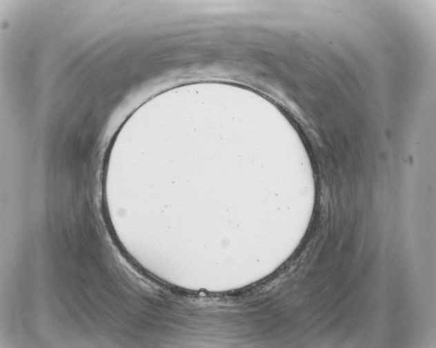 X0000085211512200704091853