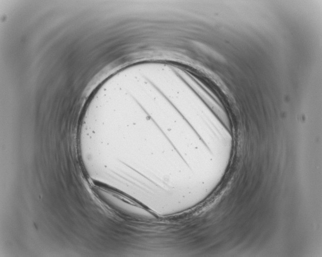 X0000085211513200704091853