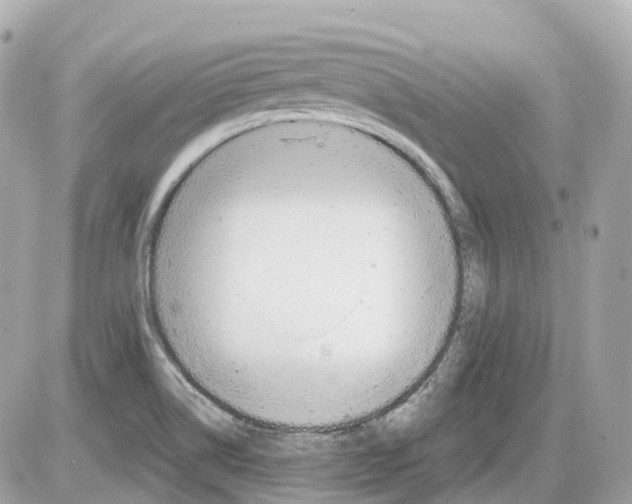 X0000085211514200704091853