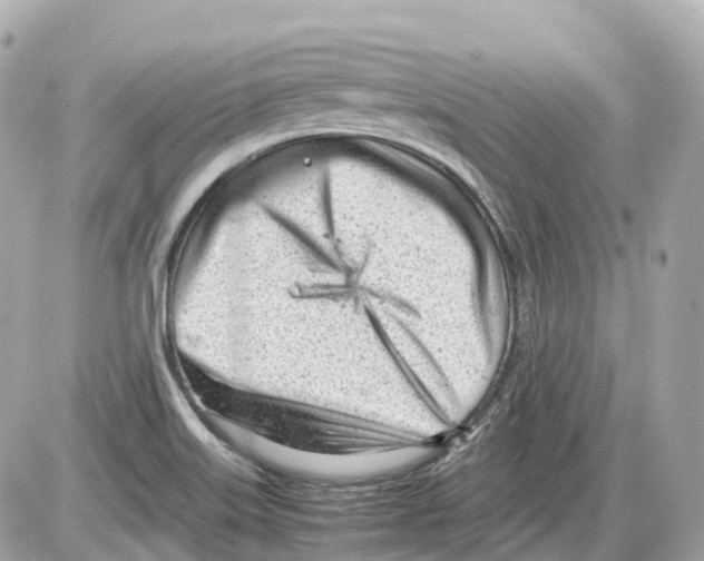 X0000085211515200704091853