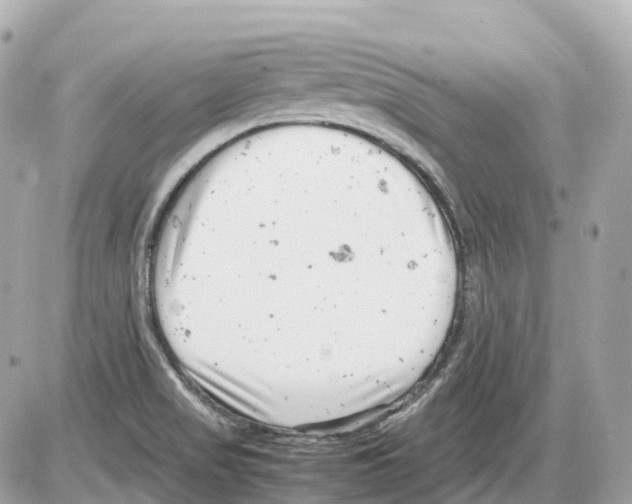 X0000085211517200704091853