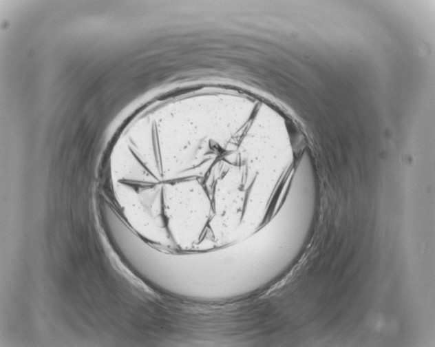 X0000085211518200704091853