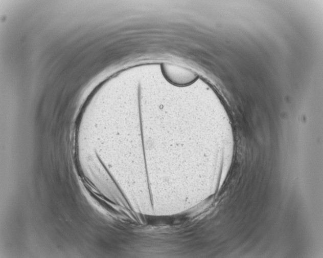 X0000085211519200704091853