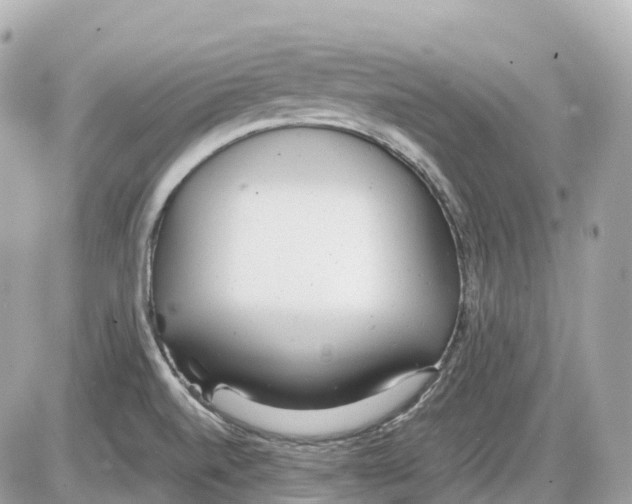 X0000085211520200704091853