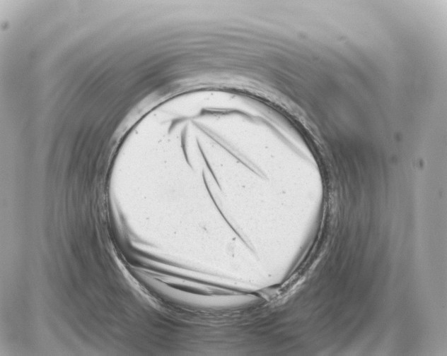 X0000085211521200704091853