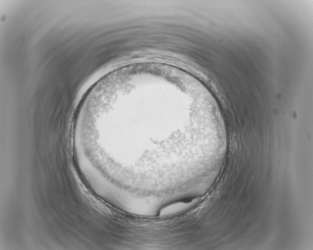 X0000085211522200704091853