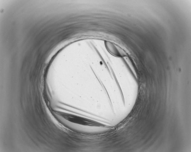 X0000085211523200704091853