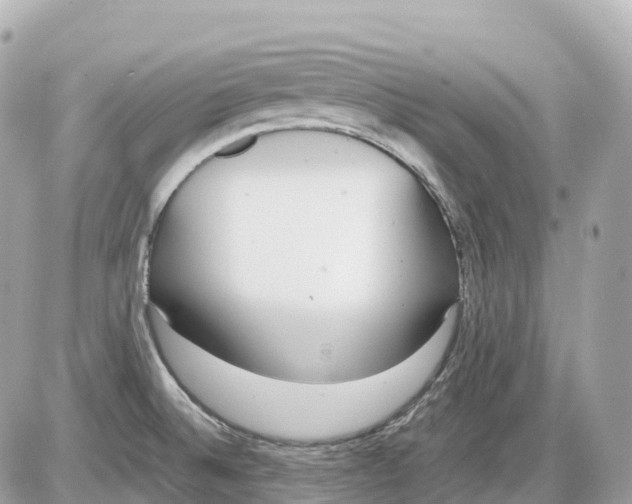 X0000085211524200704091853