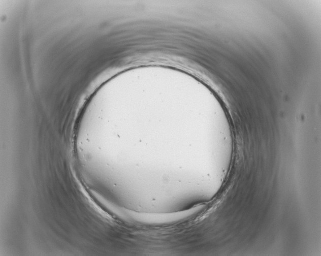 X0000085211525200704091853