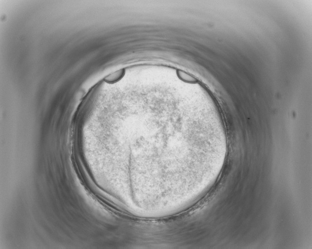 X0000085211526200704091853