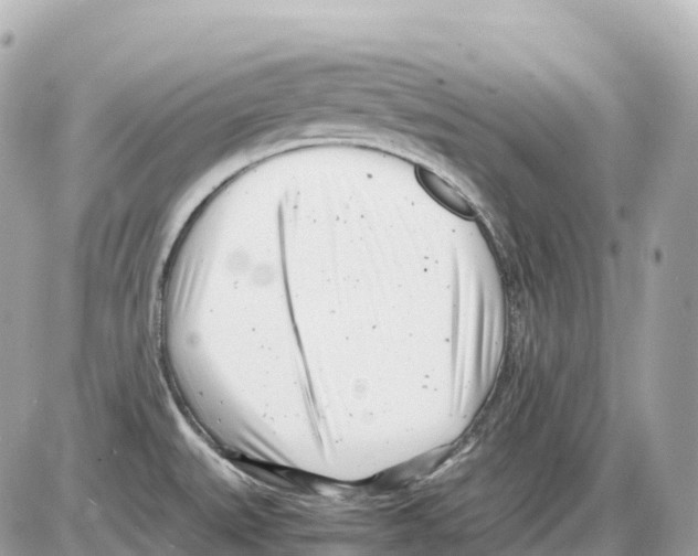 X0000085211527200704091853