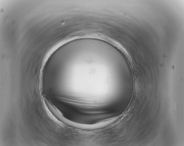 X0000085211528200704091853