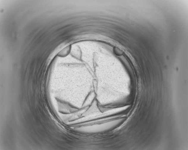 X0000085211529200704091853