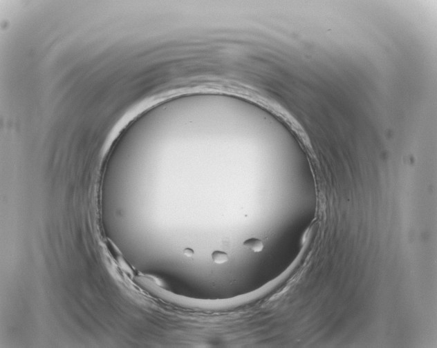 X0000085211530200704091853