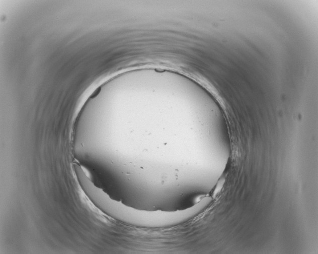 X0000085211532200704091853