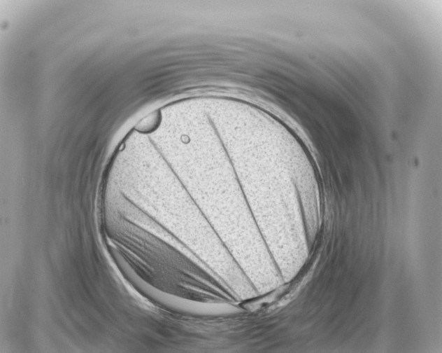 X0000085211533200704091853