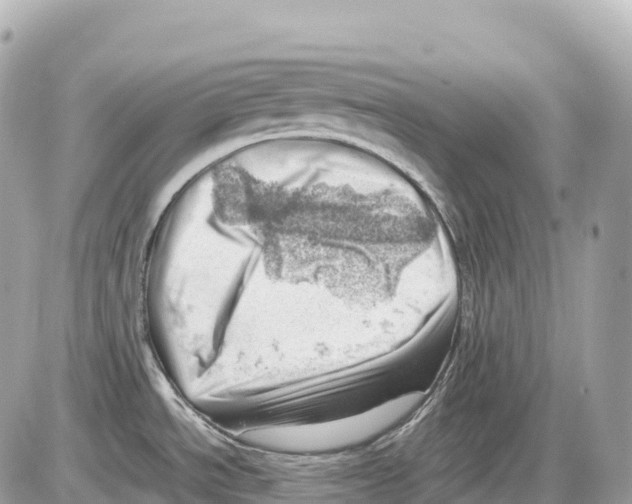 X0000085211534200704091853