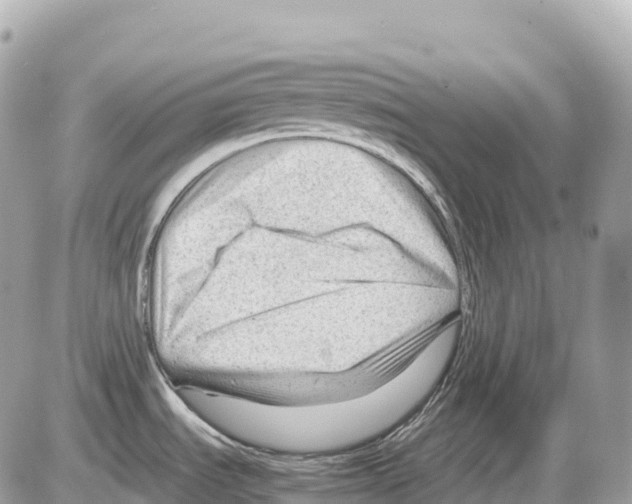 X0000085211535200704091853