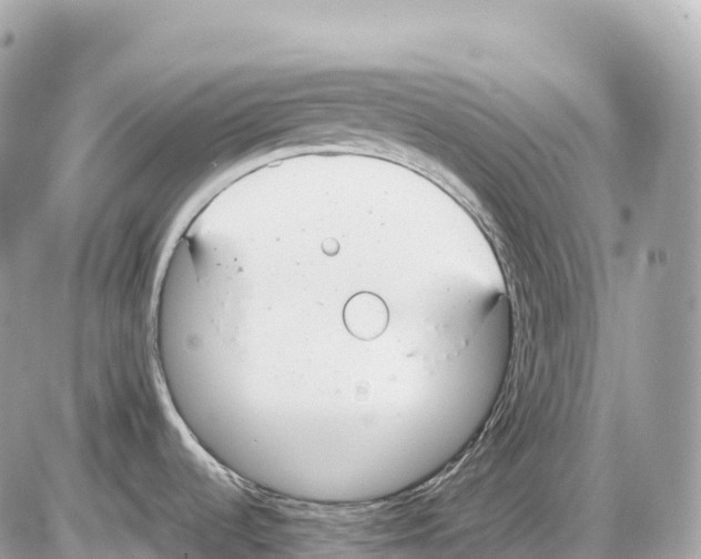 X0000085211536200704091853