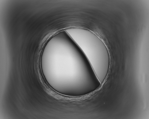 X0000085220001200703090837