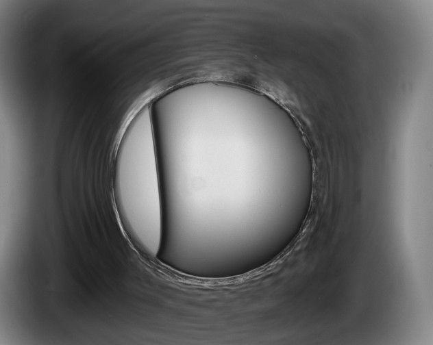 X0000085220003200703090837