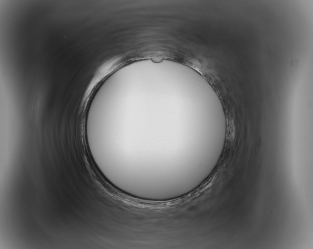 X0000085220004200703090837