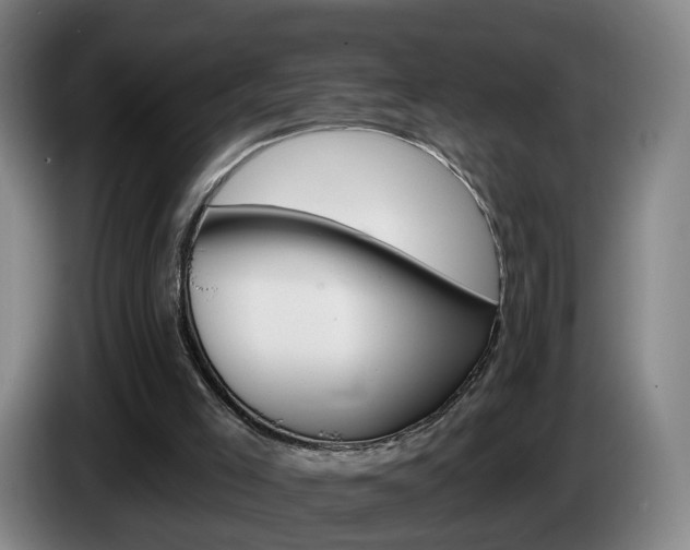 X0000085220005200703090837