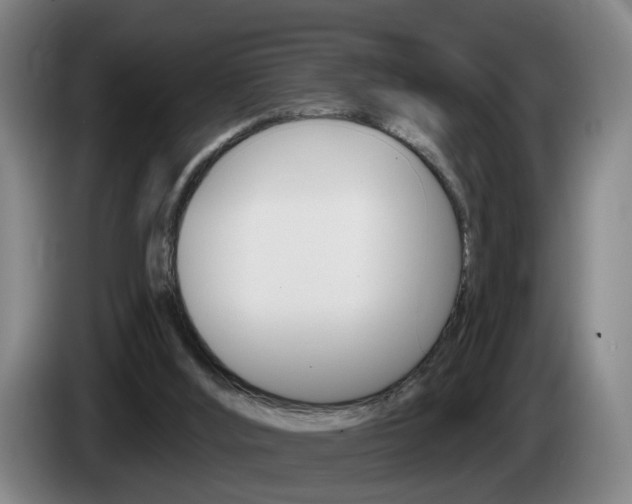 X0000085220012200703090837