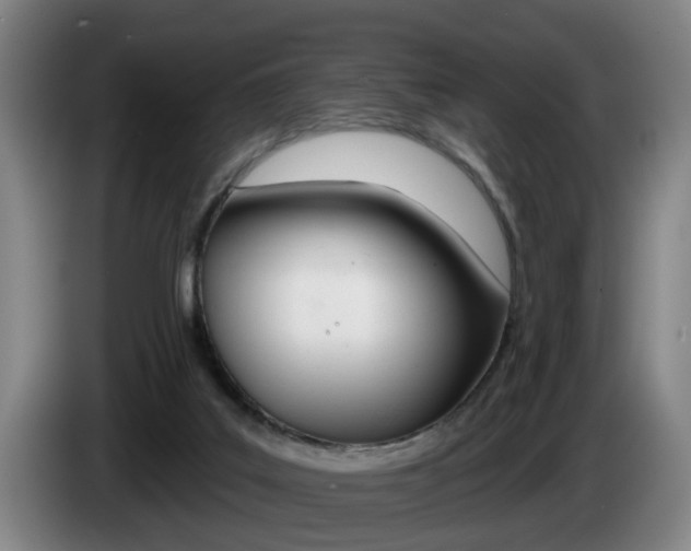X0000085220019200703090837