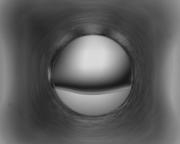 X0000085220021200703090837