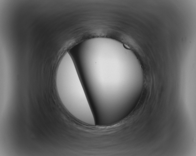 X0000085220023200703090837