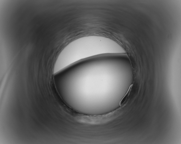 X0000085220033200703090837