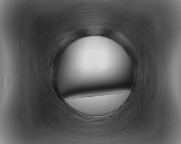X0000085220035200703090837