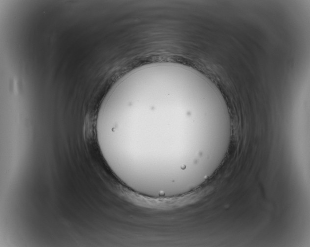 X0000085220038200703090837