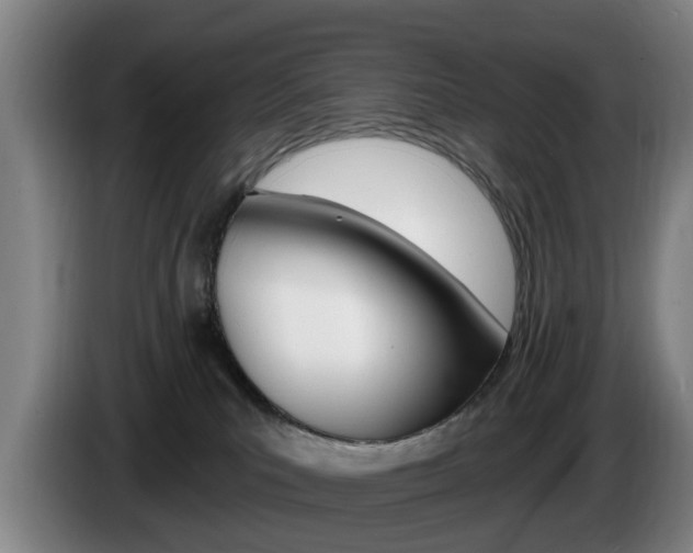 X0000085220039200703090837