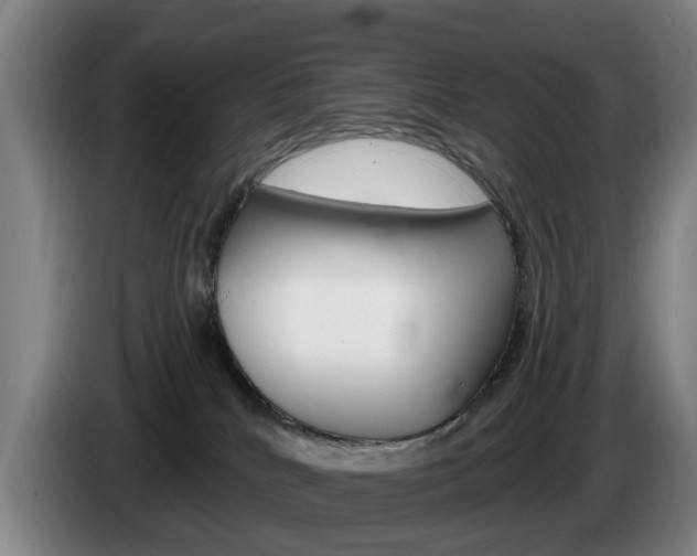 X0000085220040200703090837