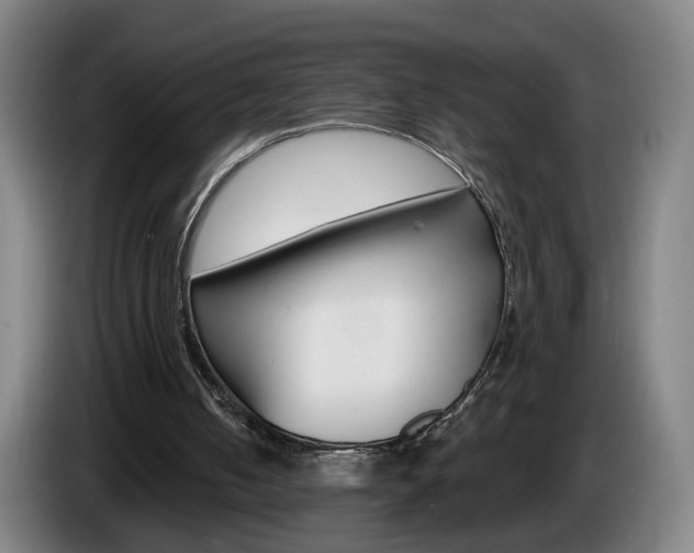 X0000085220050200703090836