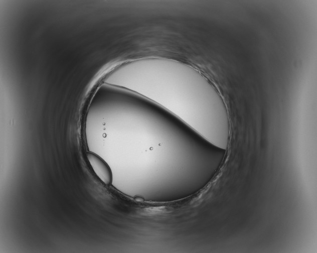 X0000085220054200703090836