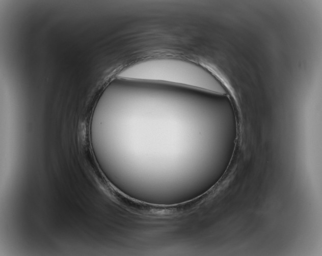X0000085220057200703090836
