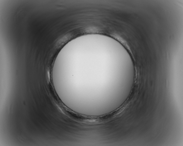 X0000085220061200703090836