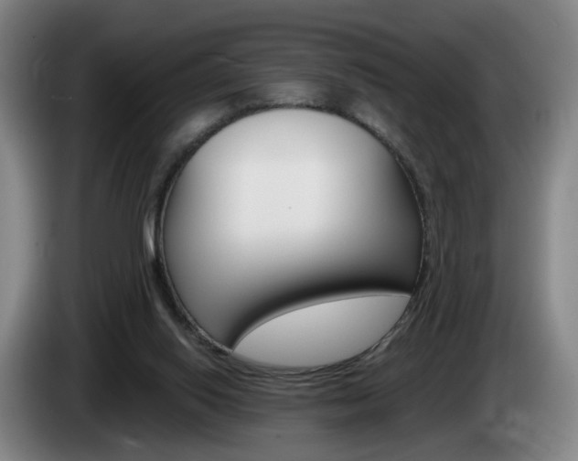 X0000085220062200703090836