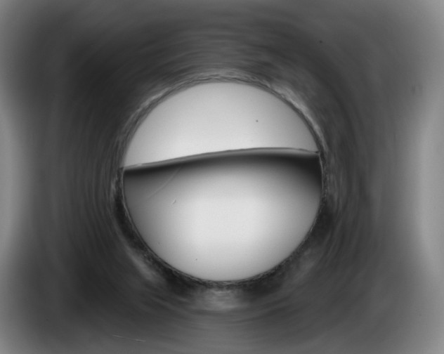 X0000085220063200703090836