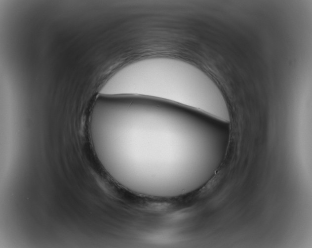 X0000085220066200703090836