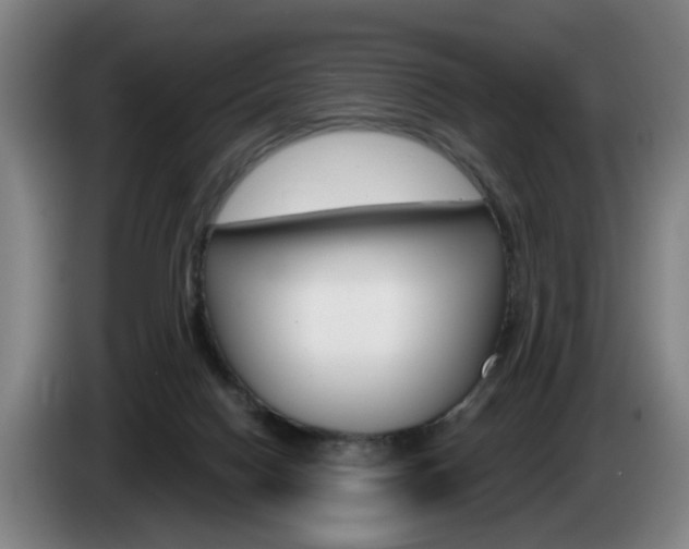 X0000085220074200703090837