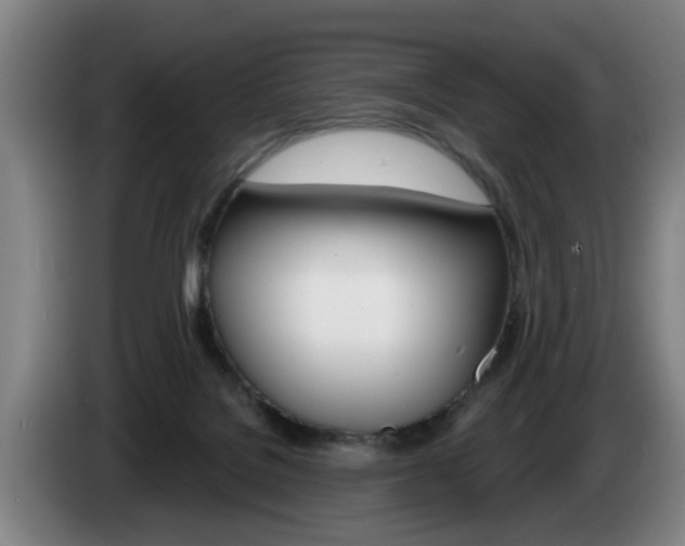 X0000085220076200703090837