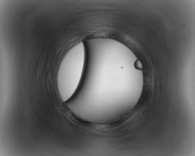 X0000085220081200703090837
