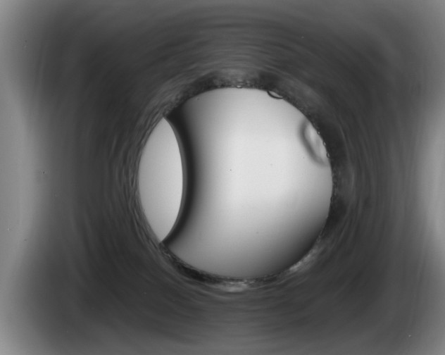 X0000085220086200703090837