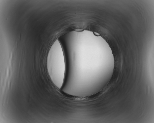 X0000085220089200703090837